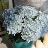 🔥Last Day 49% OFF🔥Outdoor Artificial Hydrangea Flowers💐