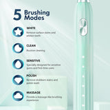 Adult Sonic Electric Toothbrush