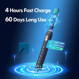 Adult Sonic Electric Toothbrush