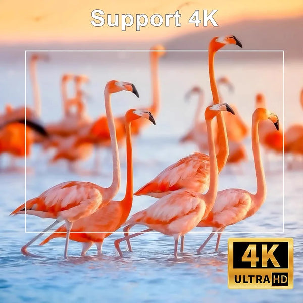 🎁 🎄Christmas Sales - 4K FHD 1080P Supported 🎥